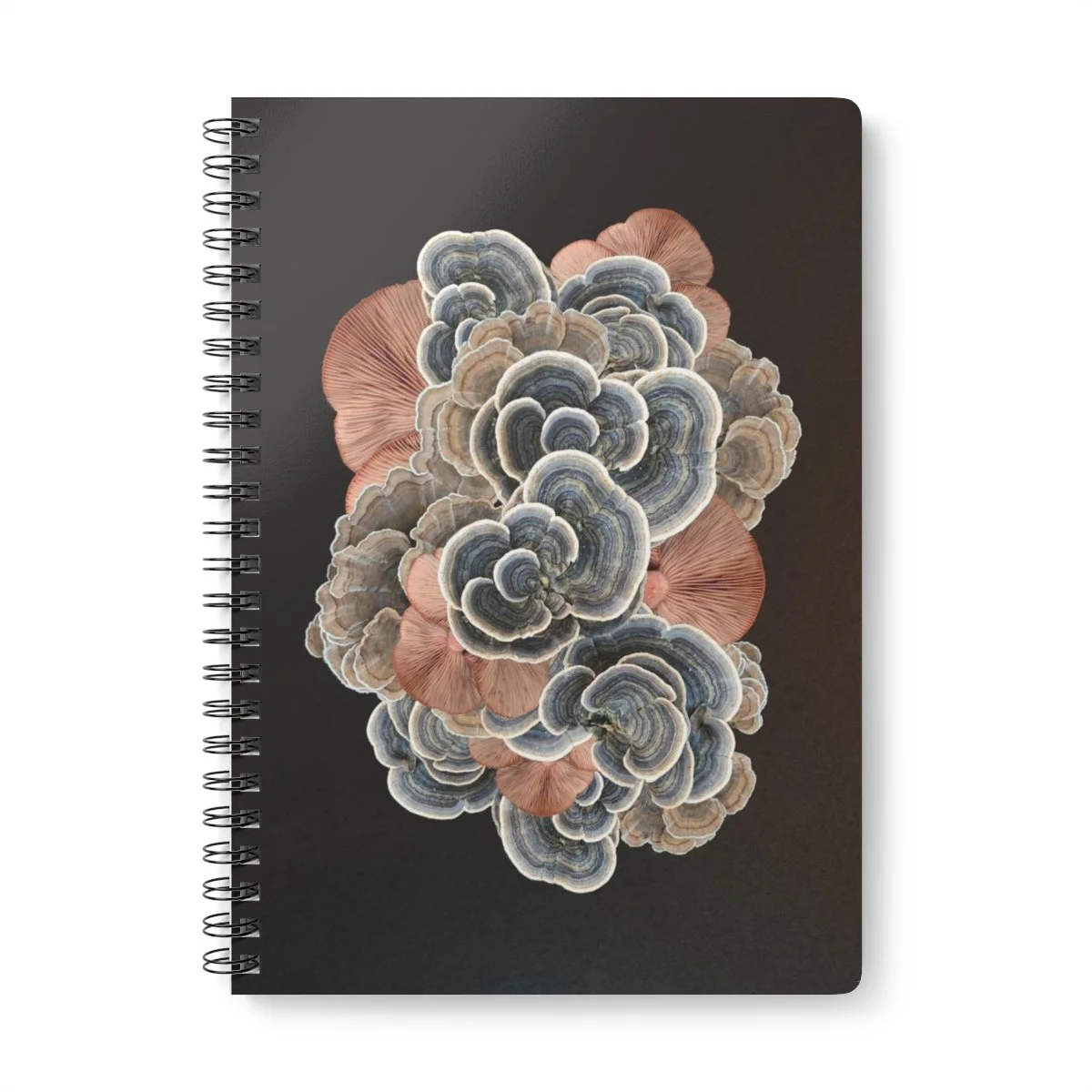 mushroom art journal by shhhroooms