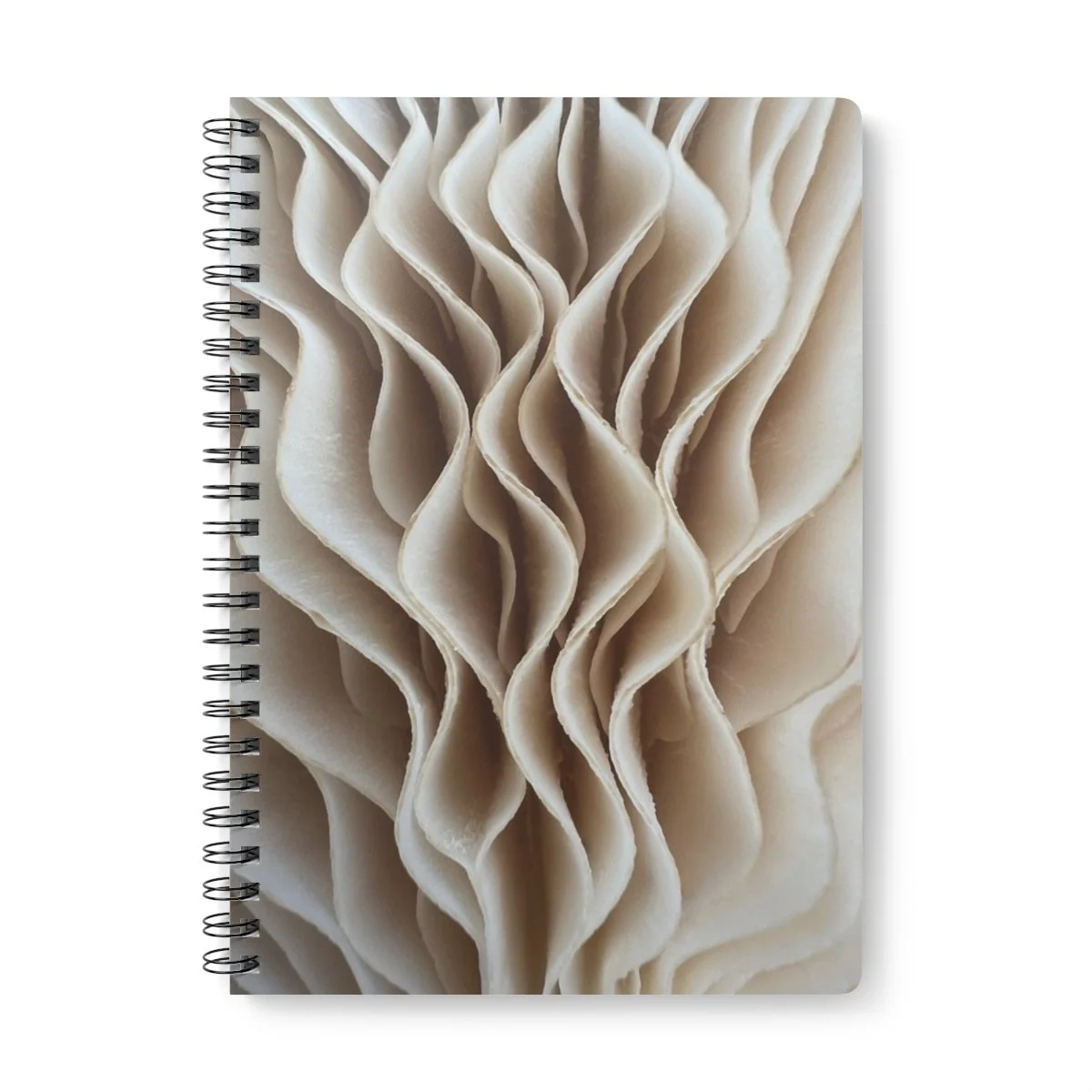 mushroom art journal by shhhroooms