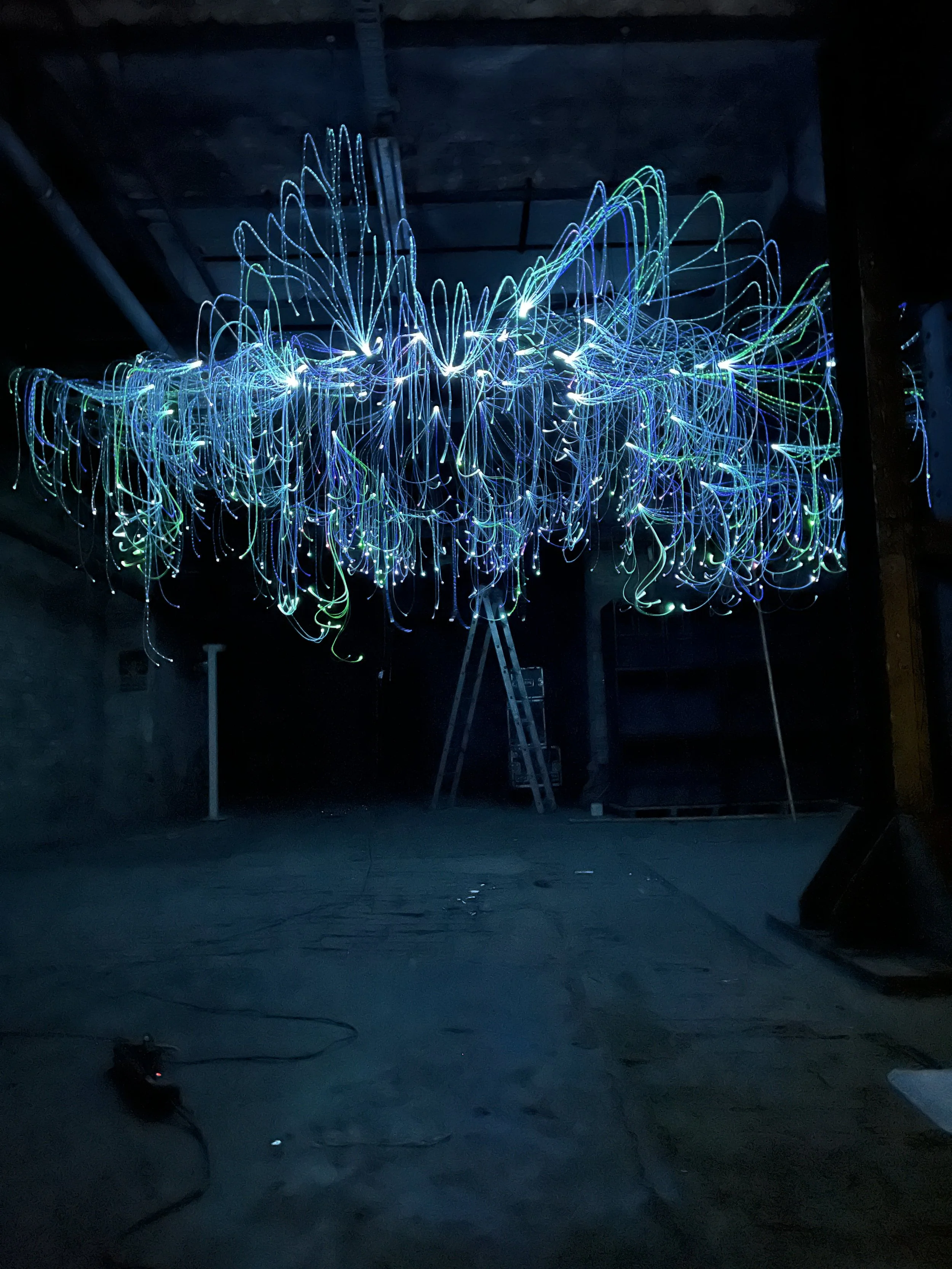 mycelium lights lauschic fiberoptic LED shhhroooms