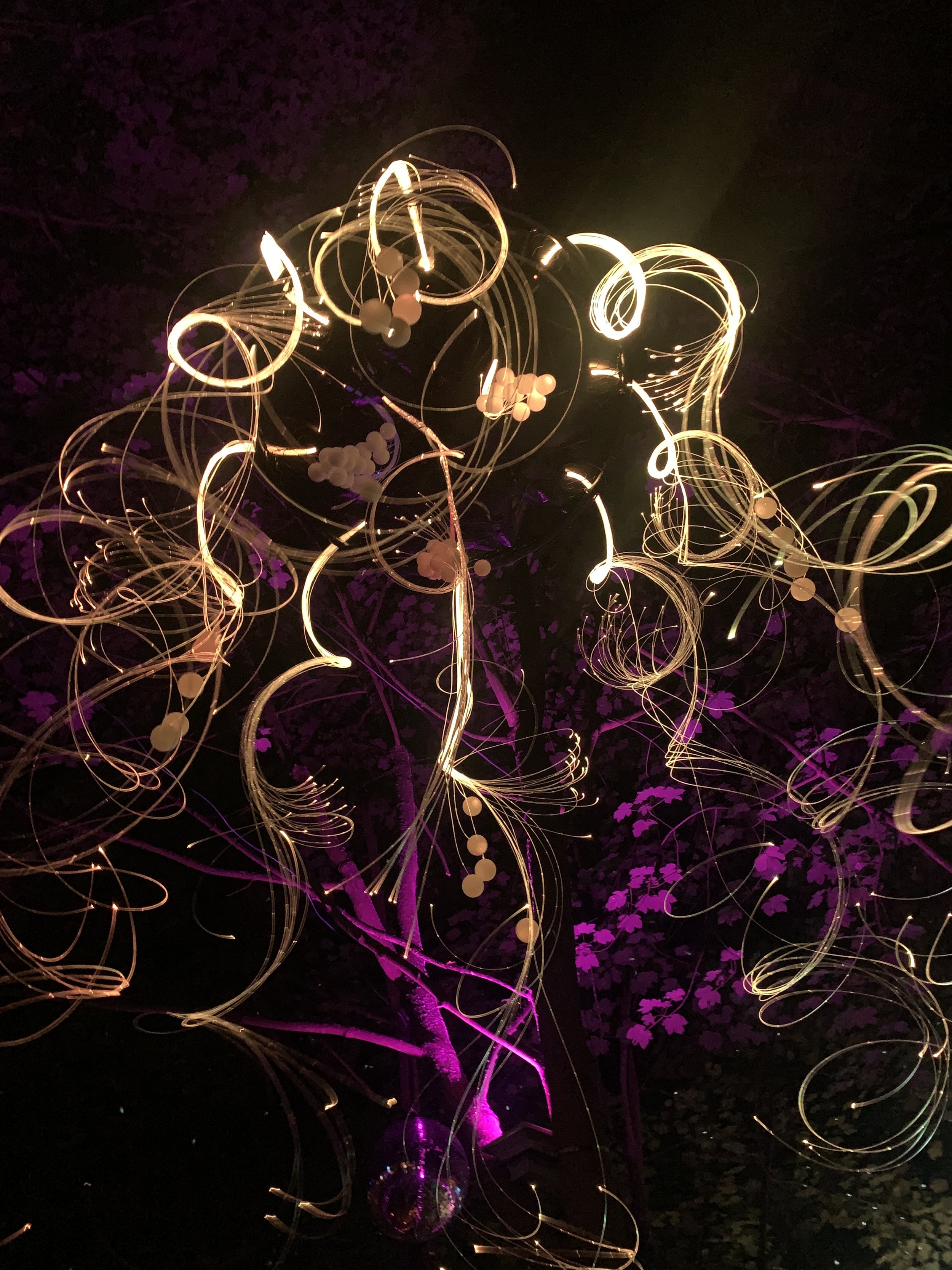 mycelium lights lauschic fiberoptic LED shhhroooms