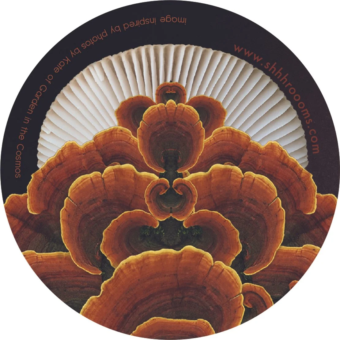 mushroom art sticker by shhhroooms