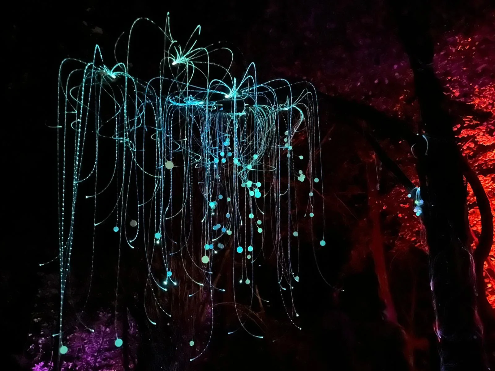 mycelium lights lauschic fiberoptic LED shhhroooms