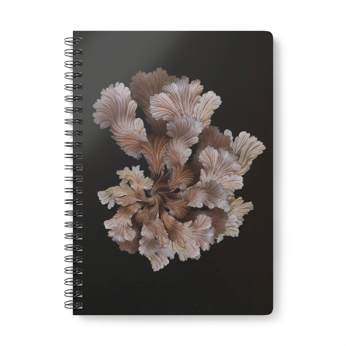 mushroom art journal by shhhroooms