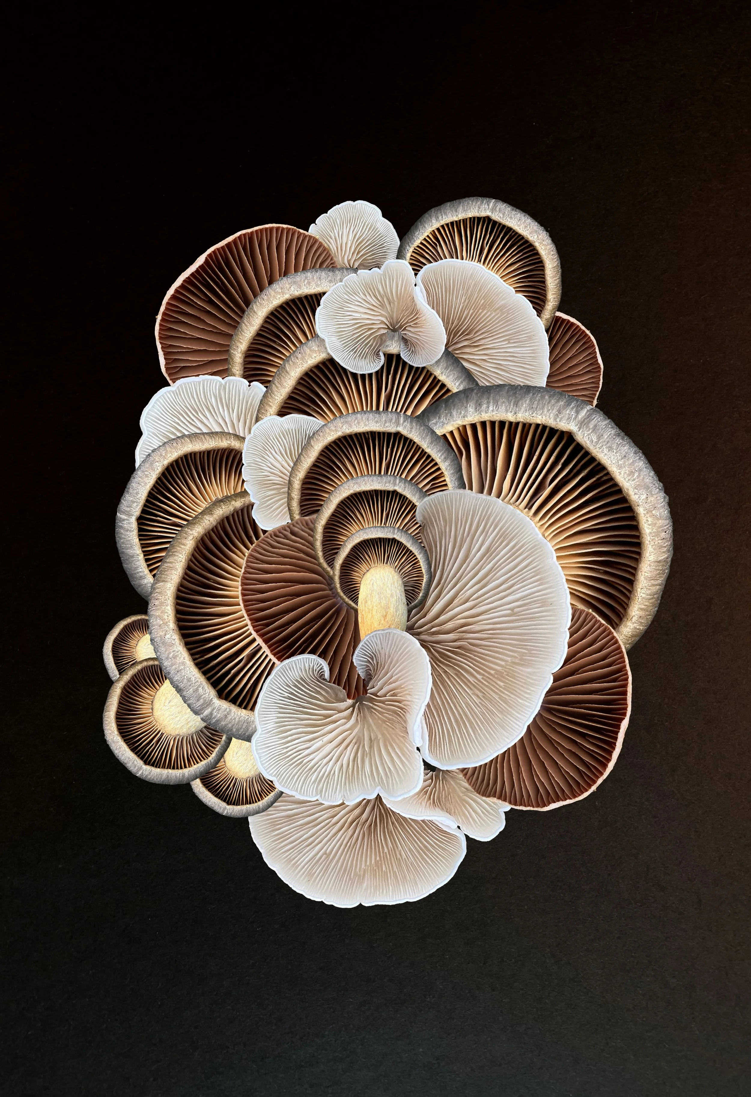 021