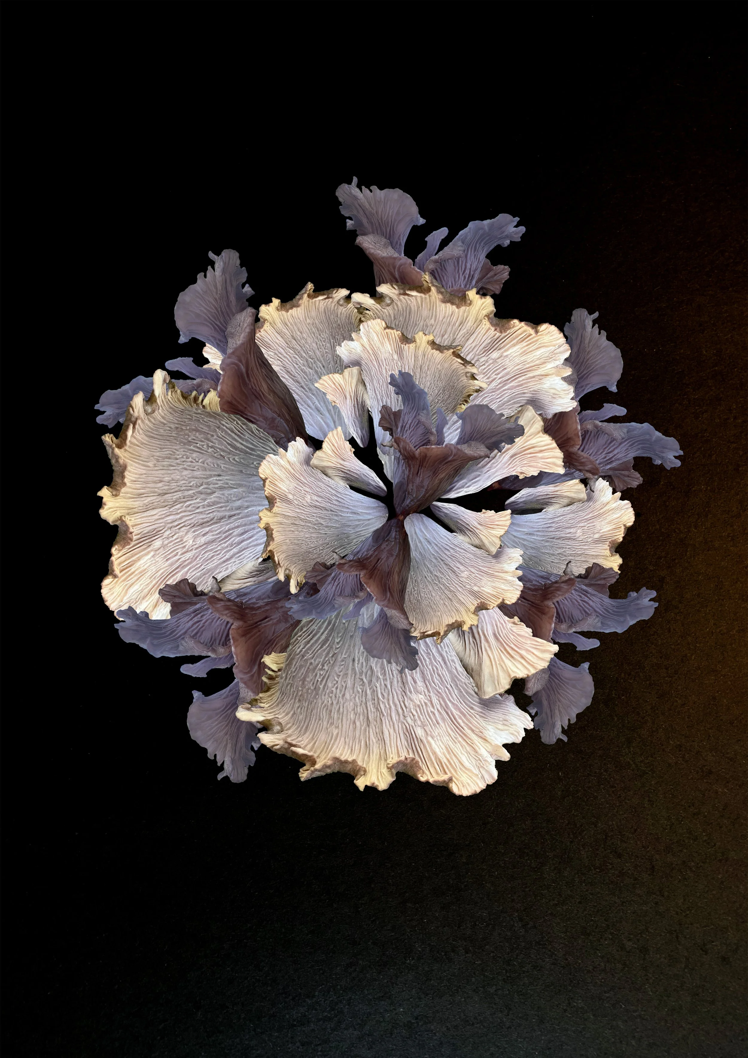 018