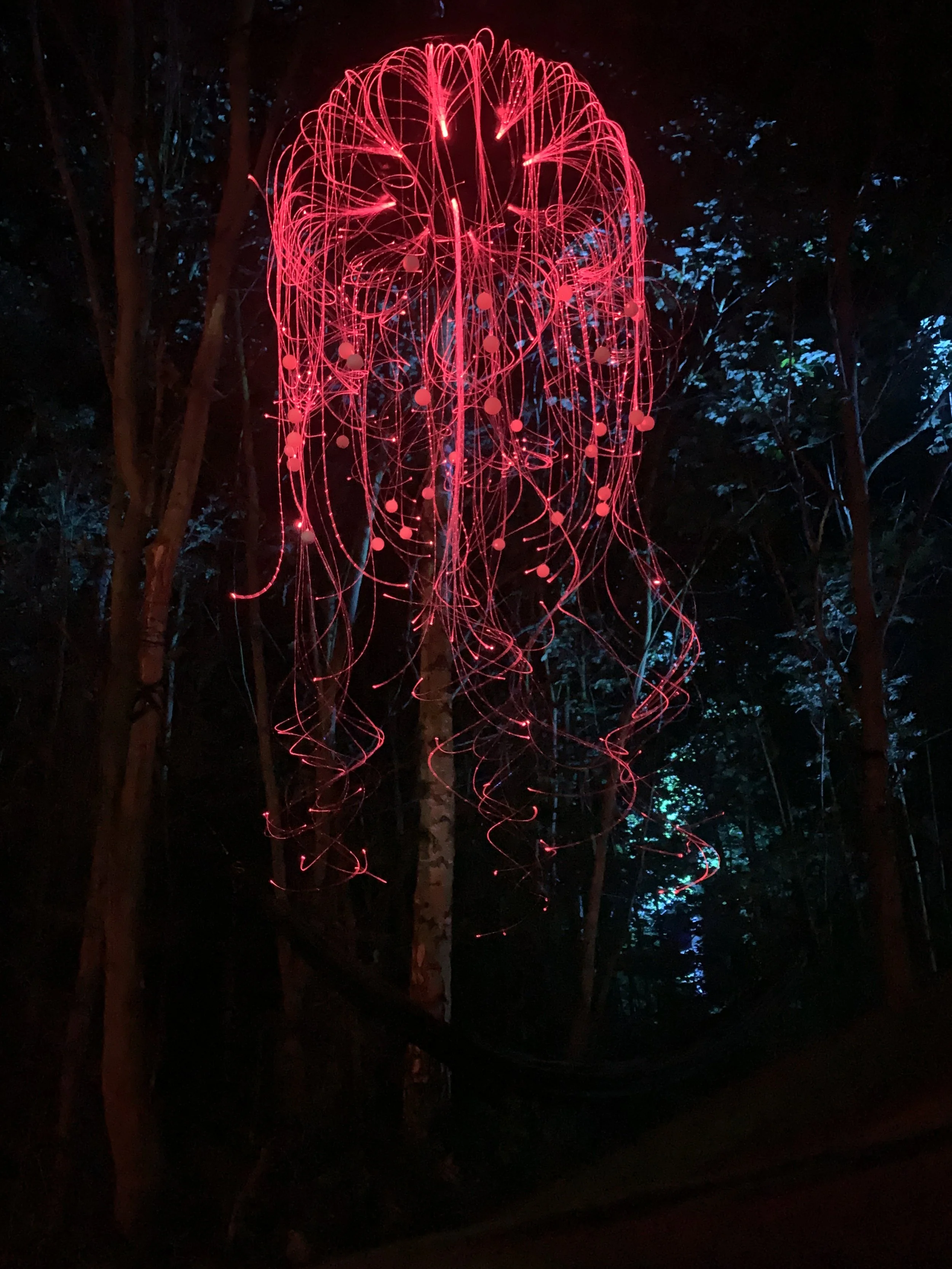 mycelium lights lauschic fiberoptic LED shhhroooms