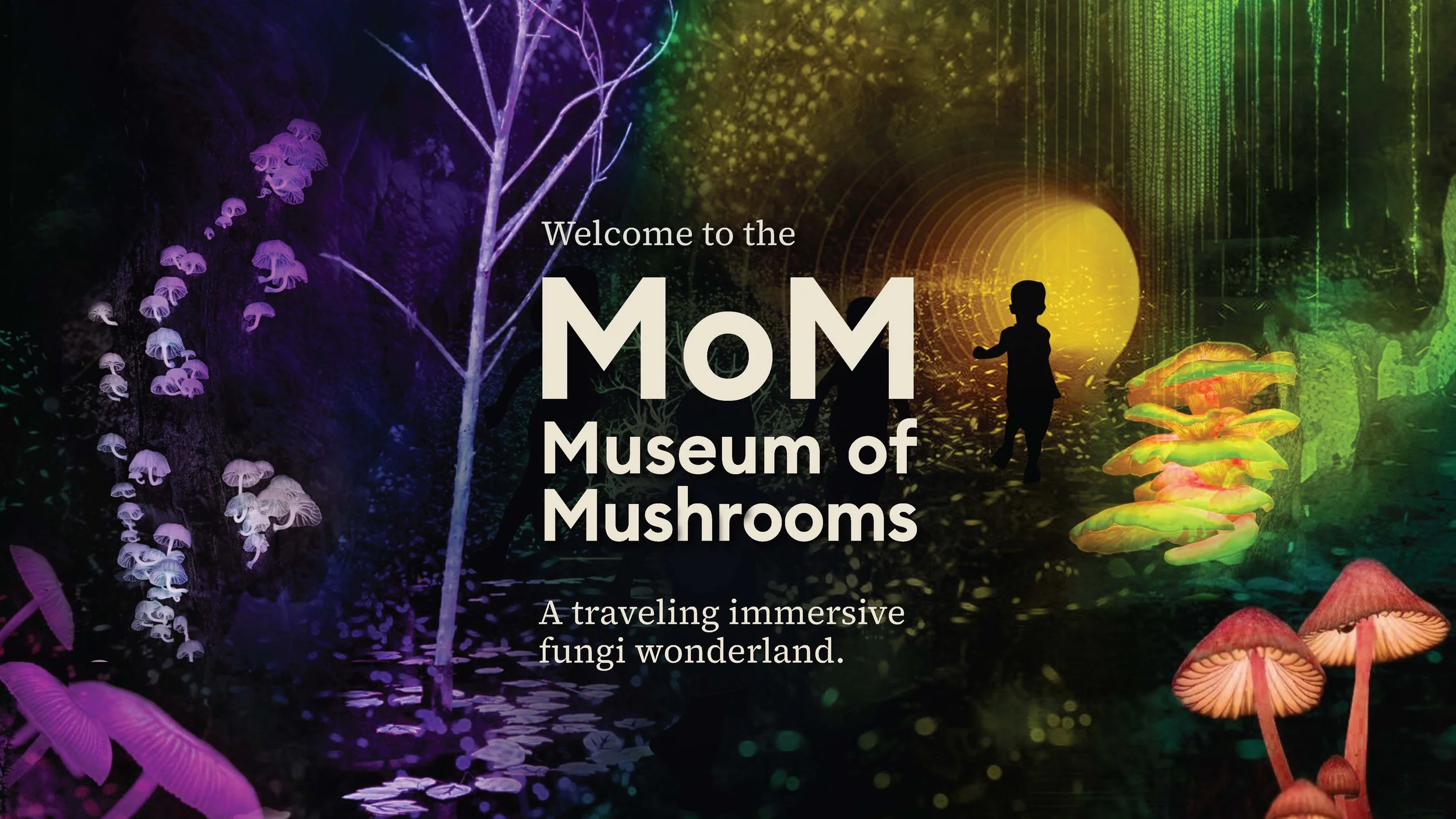 Museum of Mushrooms cover