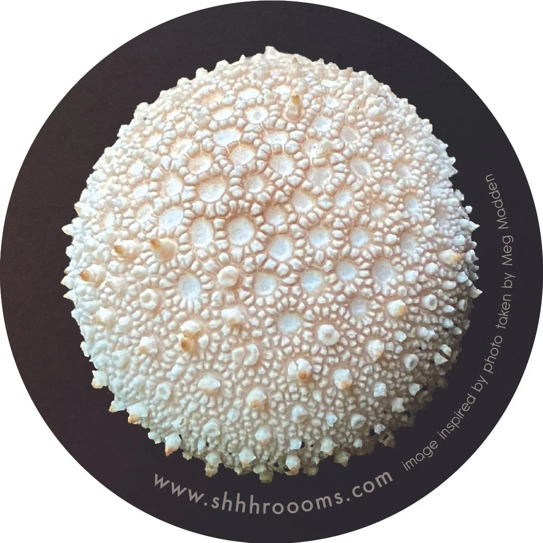 mushroom art sticker by shhhroooms