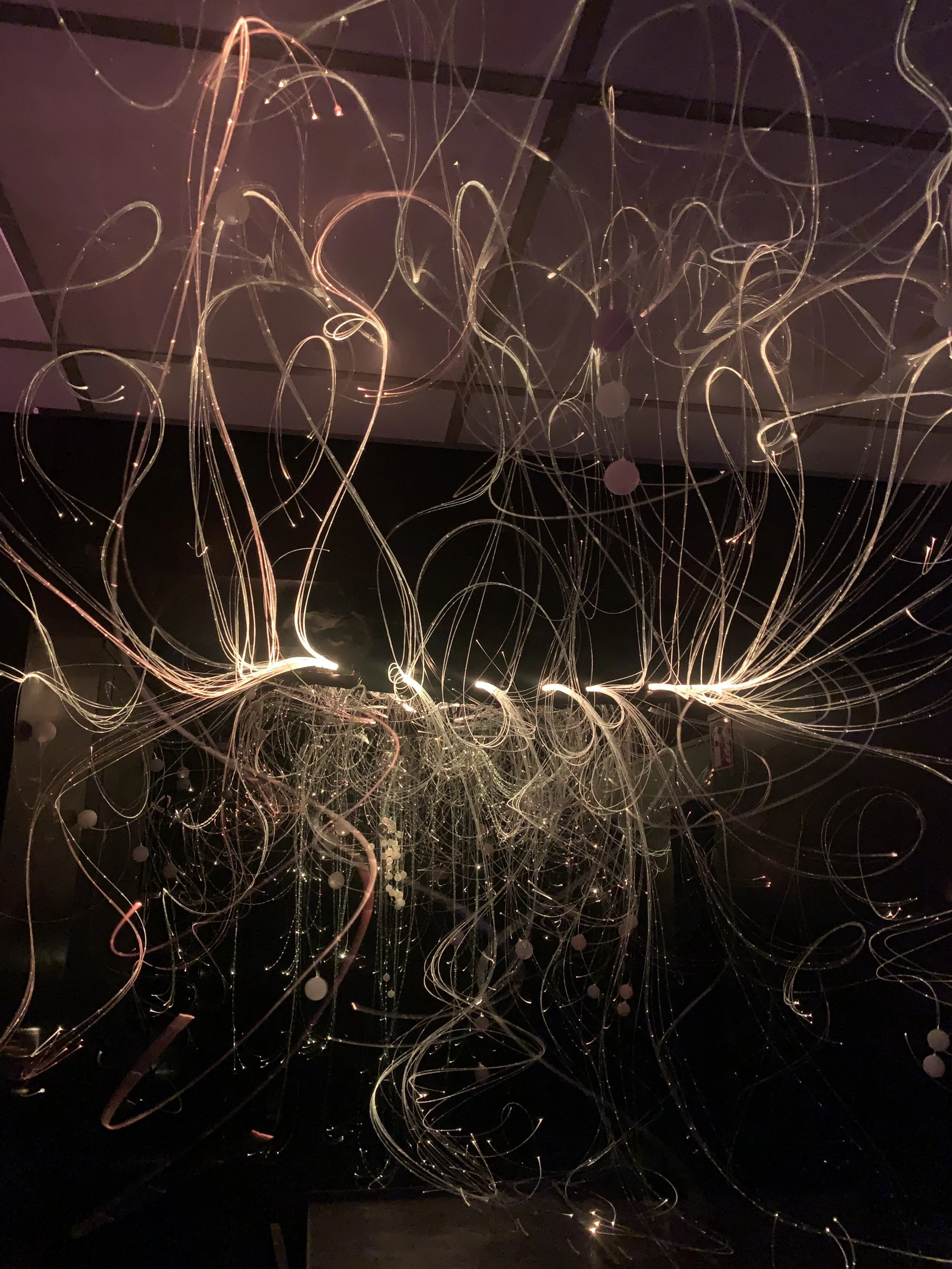 mycelium lights lauschic fiberoptic LED shhhroooms