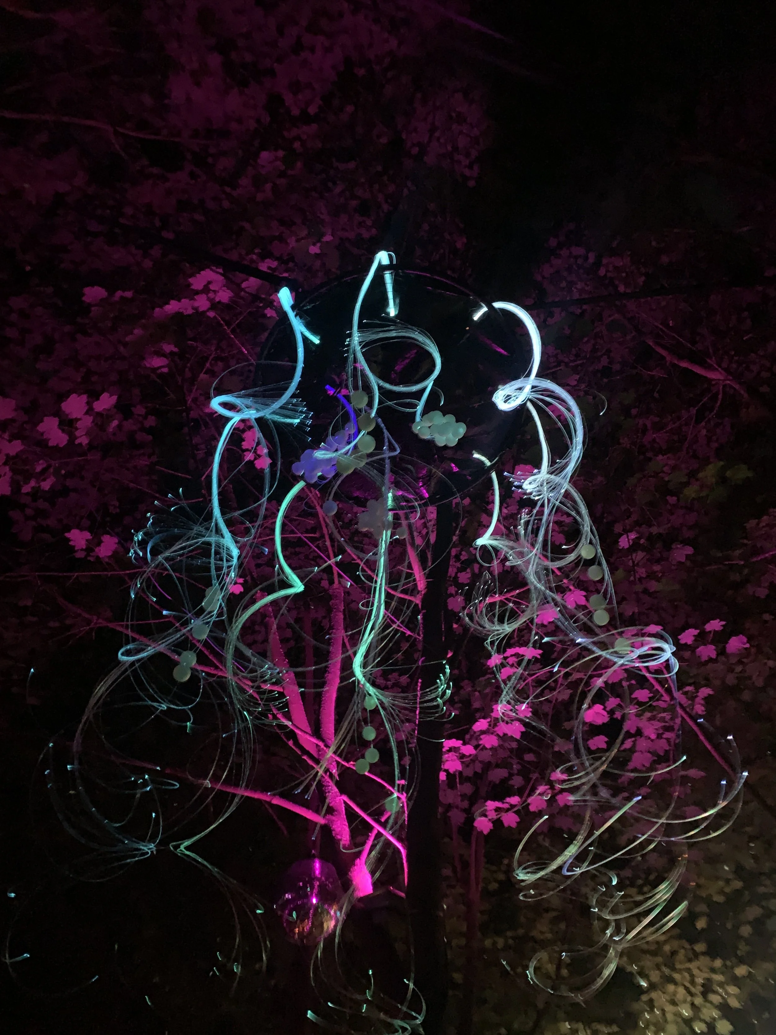 mycelium lights lauschic fiberoptic LED shhhroooms