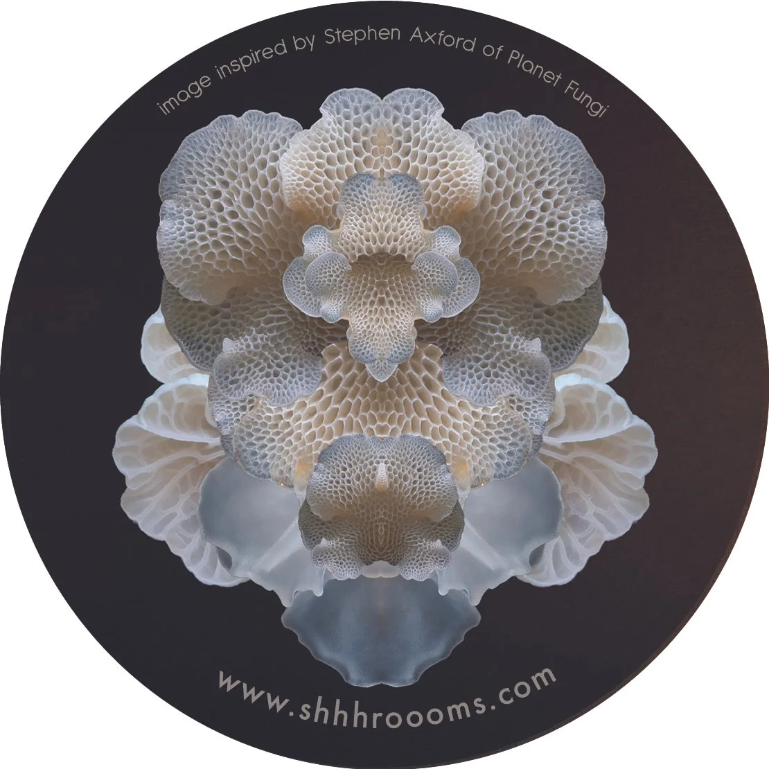 mushroom art sticker by shhhroooms
