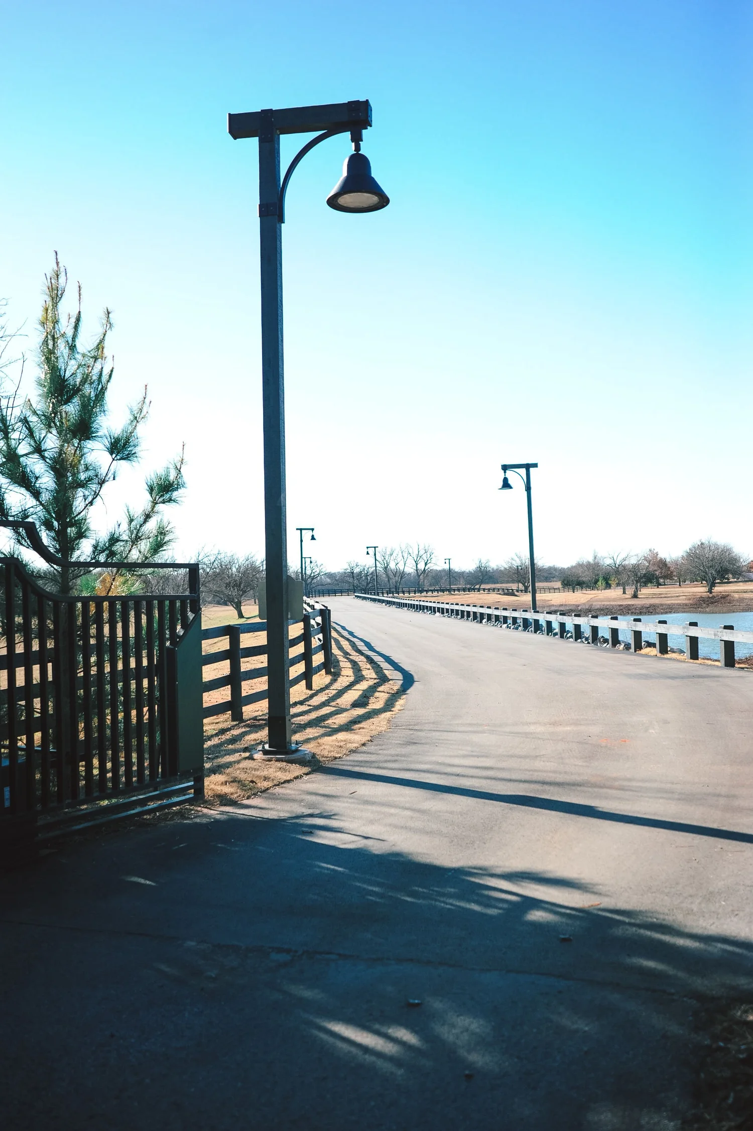 Green Shoe Ranch Gallery — Green Shoe Foundation