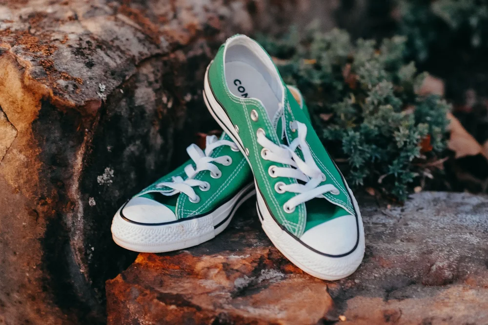 Green Shoe Team — Green Shoe Foundation