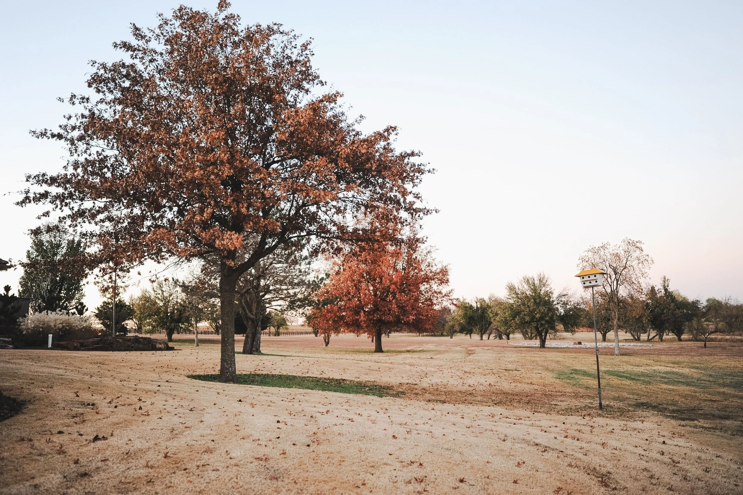 Green Shoe Retreat — Green Shoe Foundation