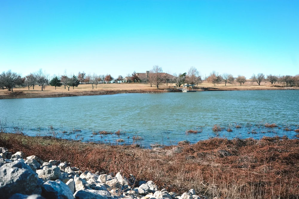 Green Shoe Ranch Gallery — Green Shoe Foundation