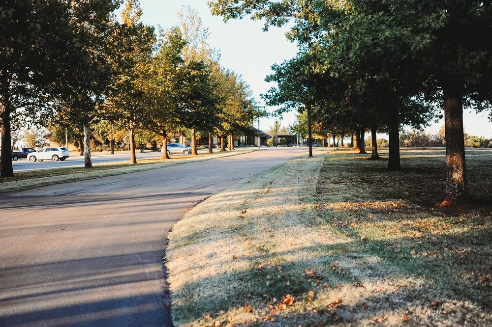 Green Shoe Ranch Gallery — Green Shoe Foundation