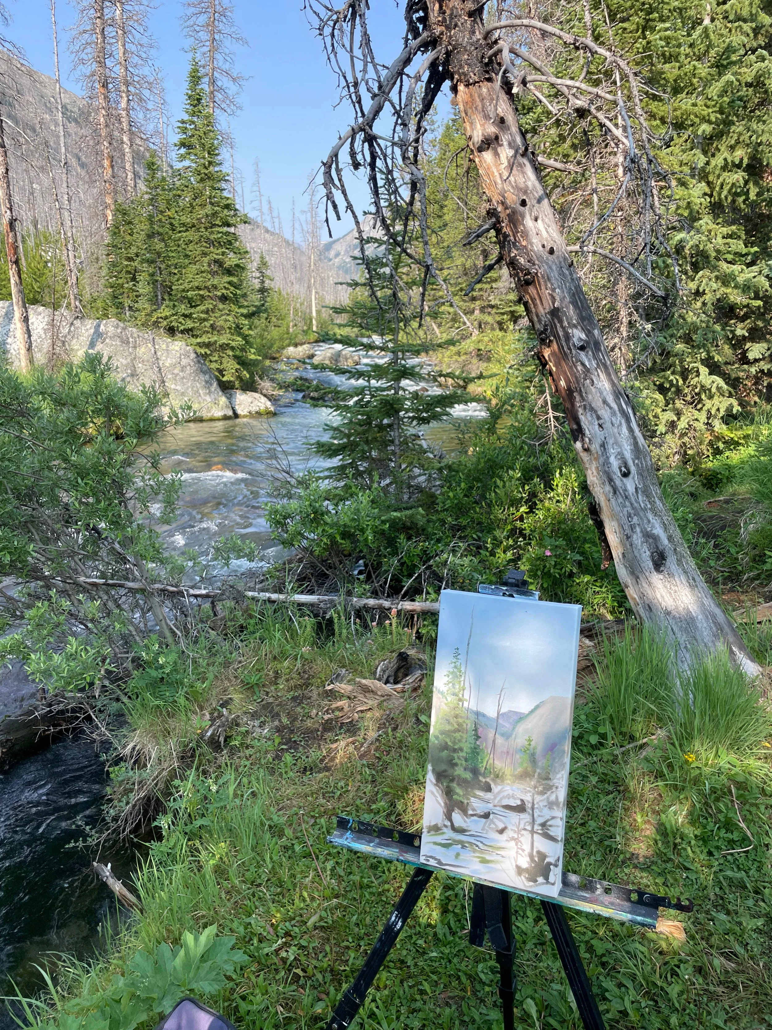 polzin plein air 2.jpeg