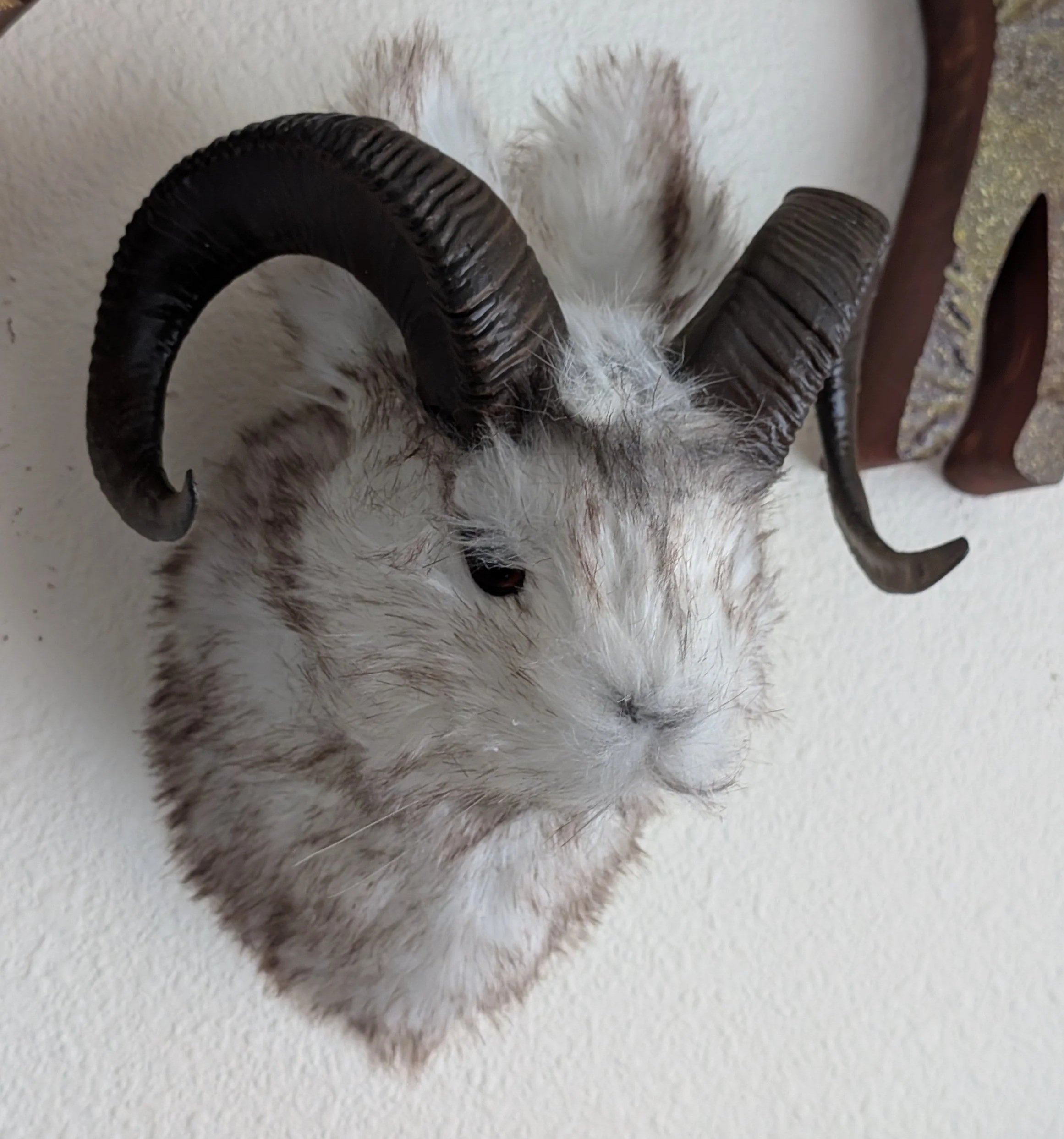 Nic Resch jackalope wall mount