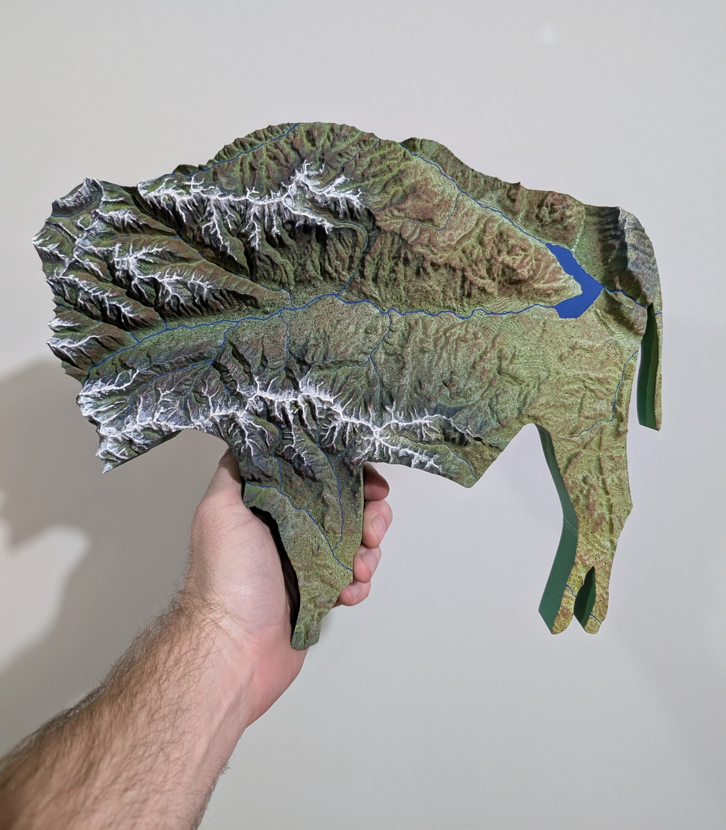 Nic Resch bison map