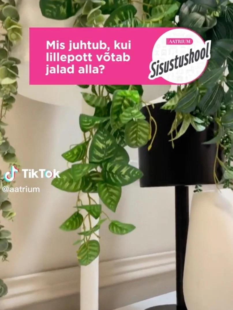 Aatriumi TikToki ideede mõtlemine, tekstide kirjutamine ja voiceoverite peale lugemine.