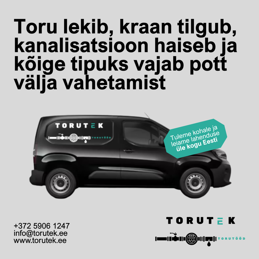 Auto + teenus 2.png