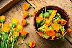 DIY Calendula Salve