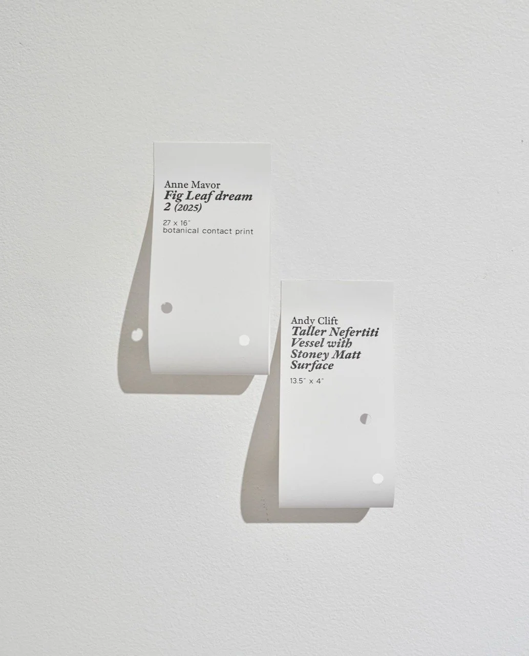 26_0114_AnneMavor_FacesinEverything (Web)-37 Large.jpeg