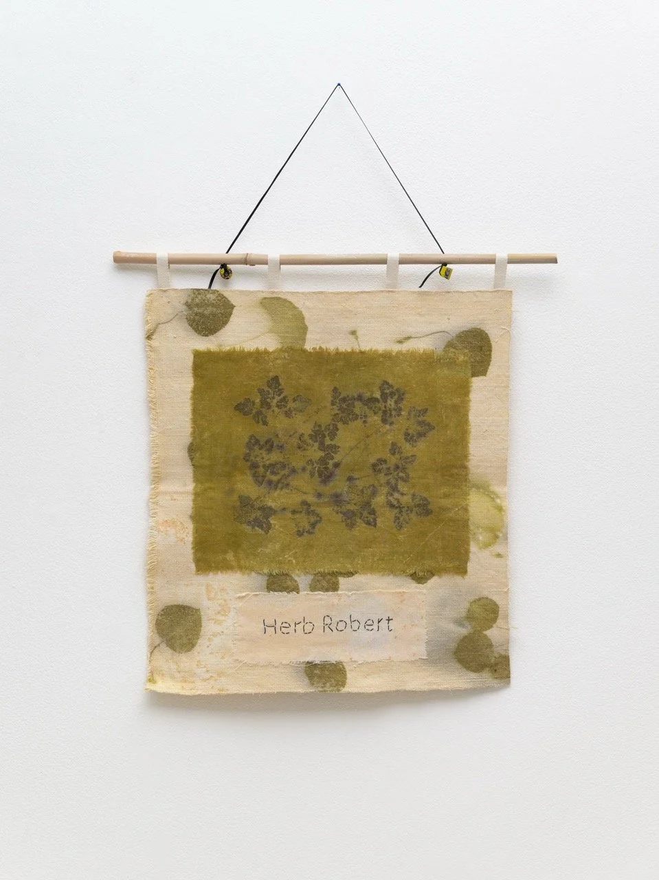 2025-08-26-Anne-Mavor-006-web Large.jpeg