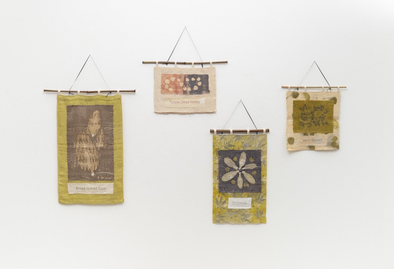 2025-08-26-Anne-Mavor-023-Edit-web Large.jpeg