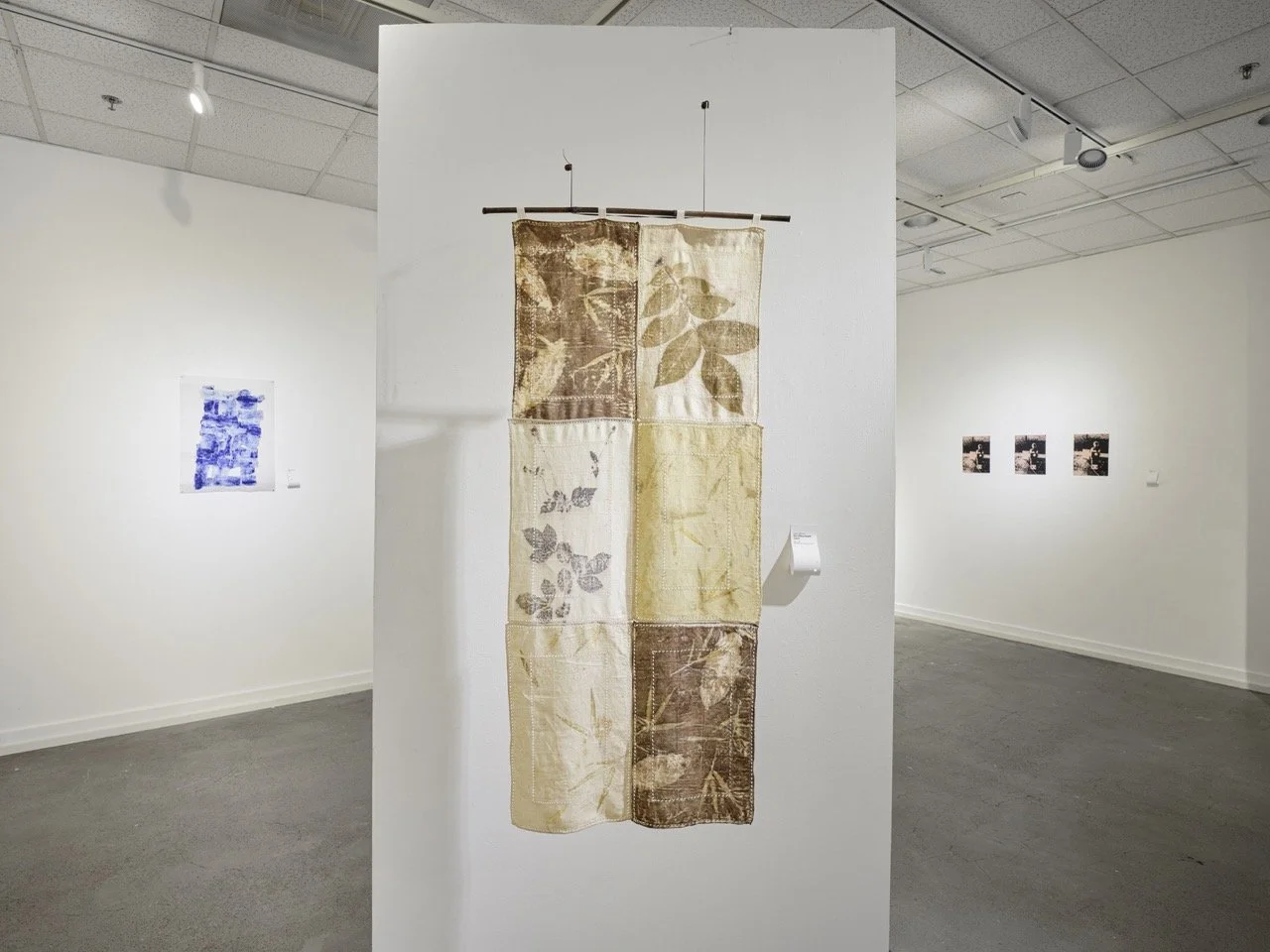 26_0114_AnneMavor_FacesinEverything (Web)-8 Large.jpeg