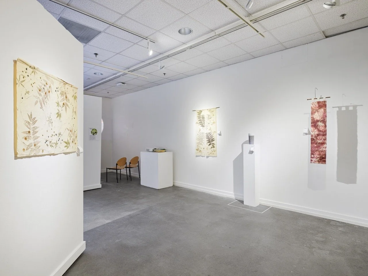 26_0114_AnneMavor_FacesinEverything (Web)-13 Large.jpeg