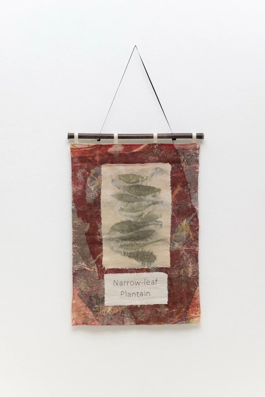 2025-08-26-Anne-Mavor-012-web Large.jpeg