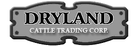 Dryland Cattle Trading Corporation