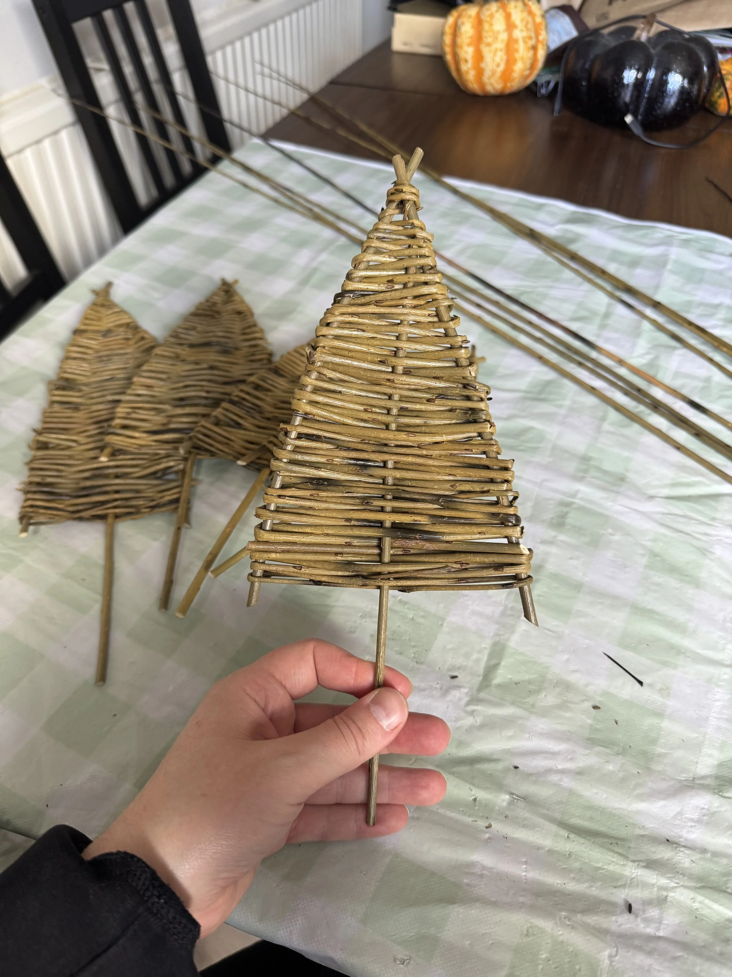 xmas tree.jpeg
