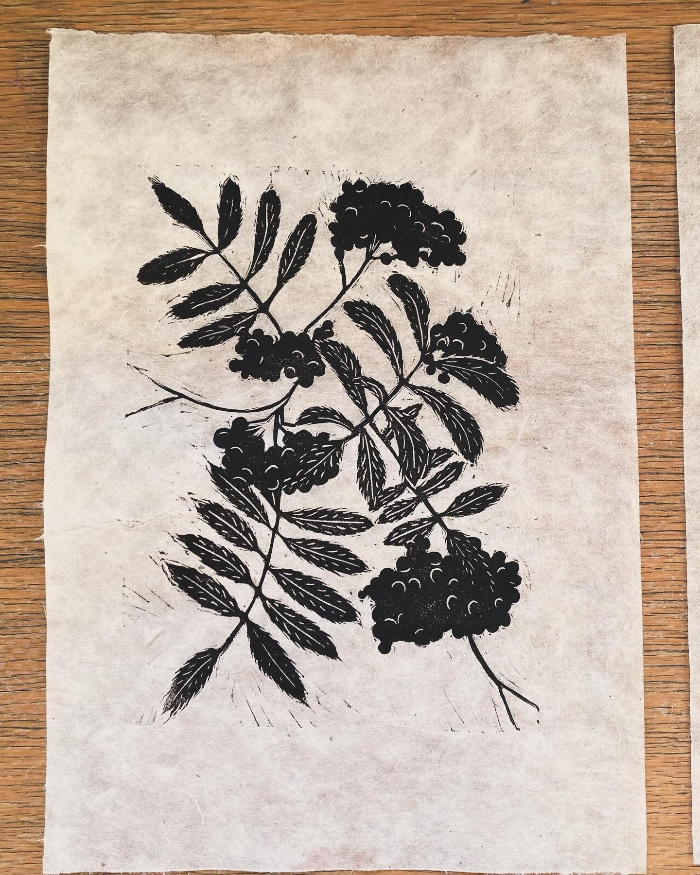 First post of the year better late than never woooo ✨ Here we have some rowan tree leaves and berries on Lotka Paper 🍃 

#lino #printmaking #handcarvedstamp #handcarved #gravure #reliefprint #handprinteduk #scottishprintmaker #get_imprinted #speedba