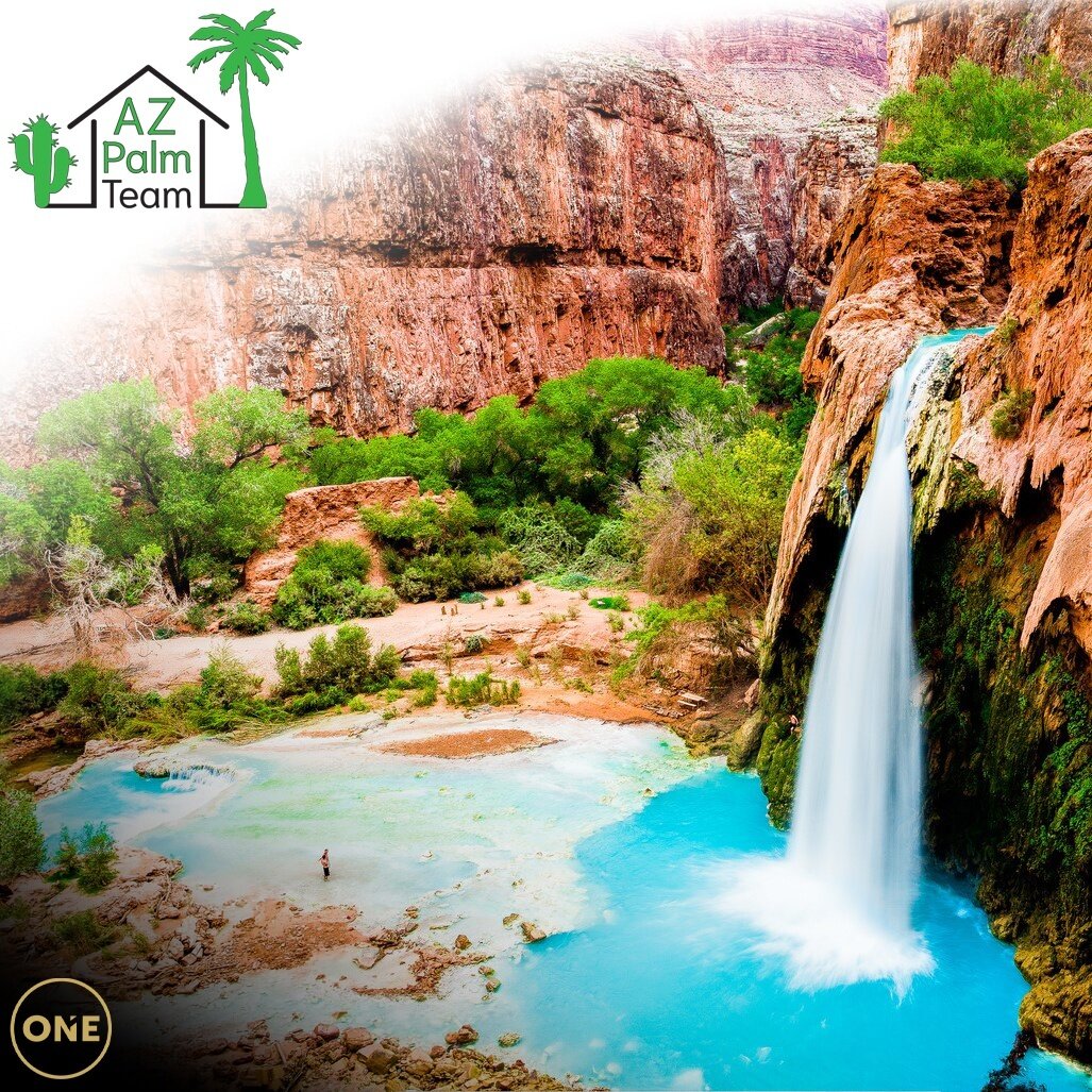 🌊 #havasupai falls has to be easily one of the most jaw dropping places in the country. One more reason to consider living in Arizona! There is a seemingly endless supply of things to see and do, but if you want a short list to get you started click