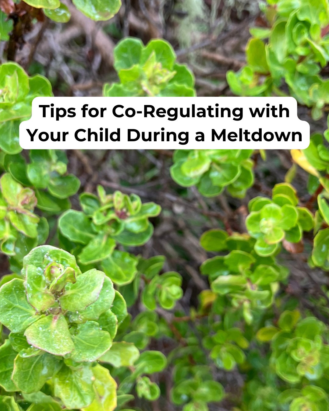 Meltdowns are moments of emotional overflow&mdash;not bad behavior, not manipulation, not a parenting failure.⁠
⁠
When your child&rsquo;s nervous system is overwhelmed, your job isn&rsquo;t to fix the feelings&mdash;it&rsquo;s to be there with them. 