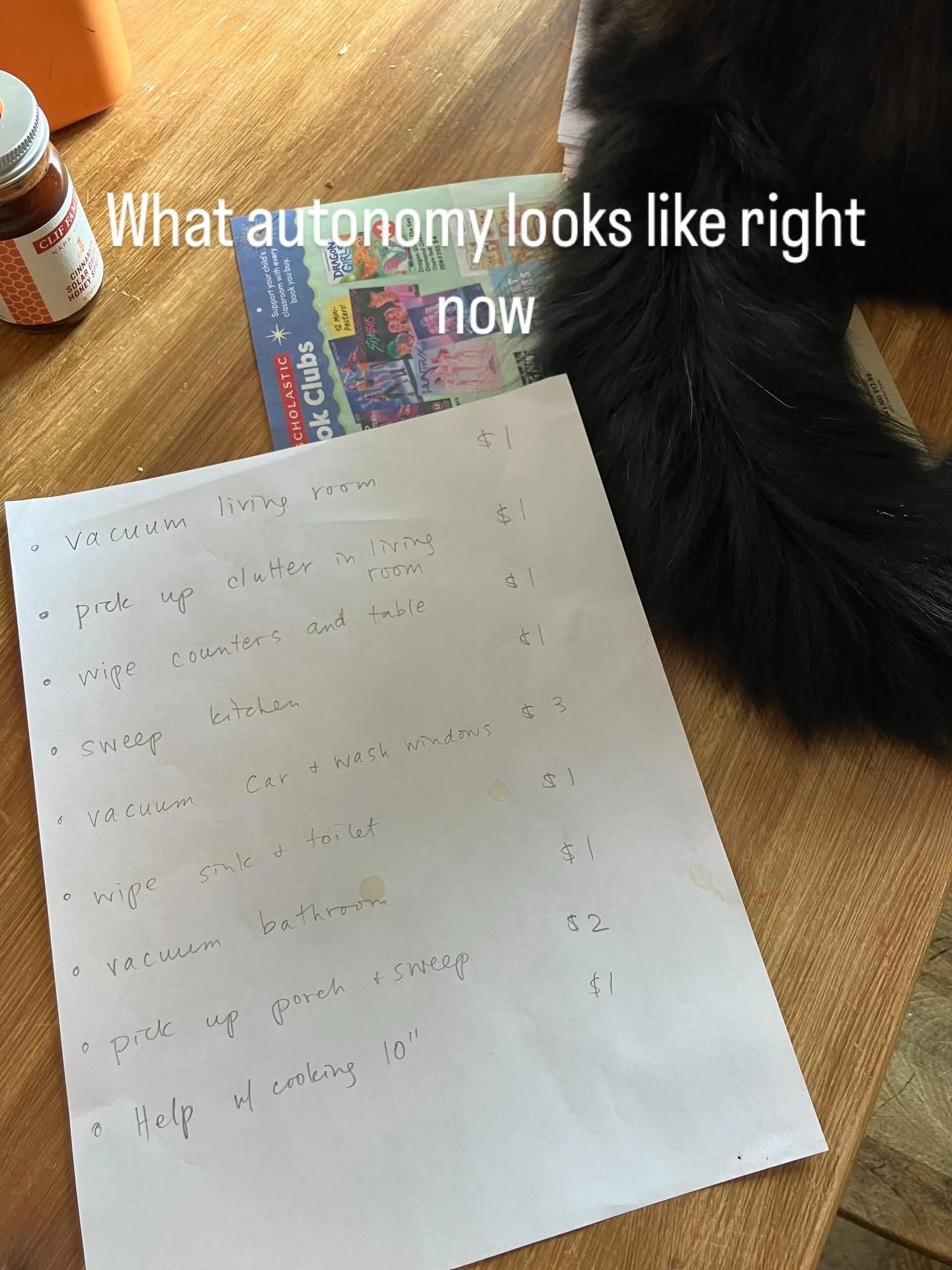 We are very much in it right now trying to figure out how to accommodate and support our PDA child. And one kind of interesting twist has been his interest in doing chores to earn money. For me it really illustrates the importance of autonomy. It see