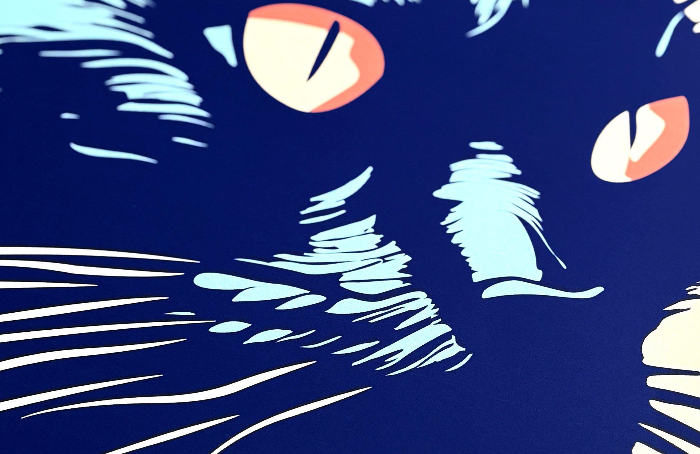 BlackCat-002.jpg