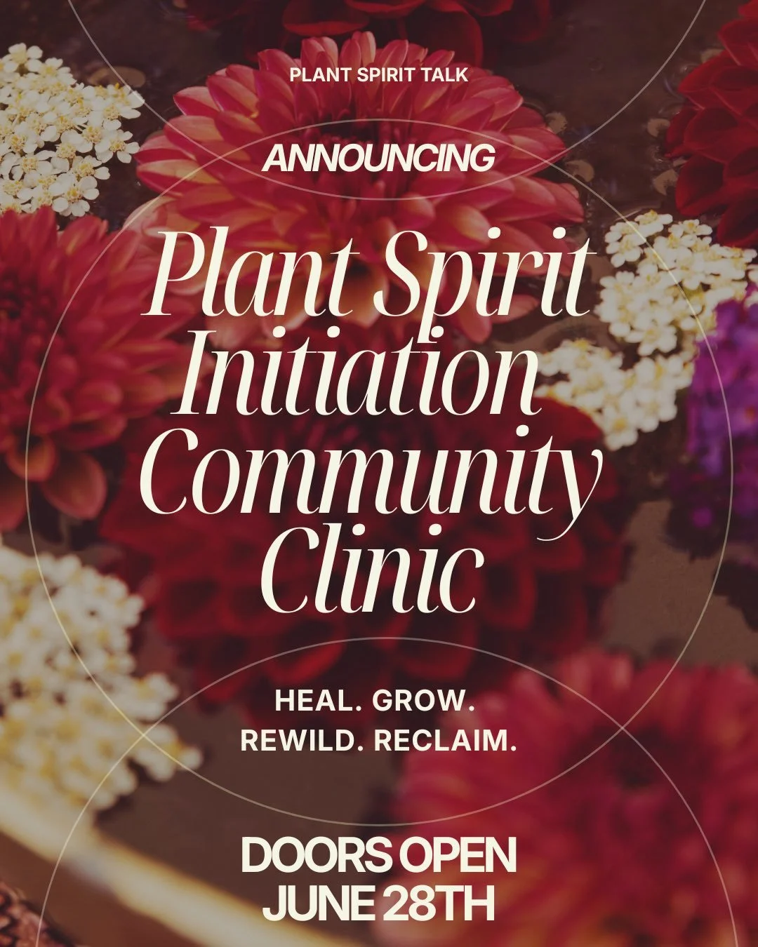 Greetings Beloved Community! 🌿🌿🌿

We have BIG news! 🎉 Something we have been tending for some time is finally ready to be shared!

💐 We are so excited to announce the opening of our Plant Spirit Initiation Community Clinic! ✨

Starting June 28th