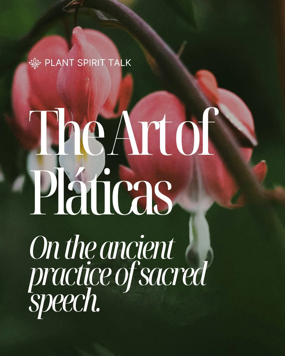 &hearts;️ We see honest speech as sacred medicine. The pl&aacute;tica is a heart-to-heart practice of deep listening, truth-telling, and repair.

When is the last time someone truly listened to you? Not to fix, but to witness, understand and hold you