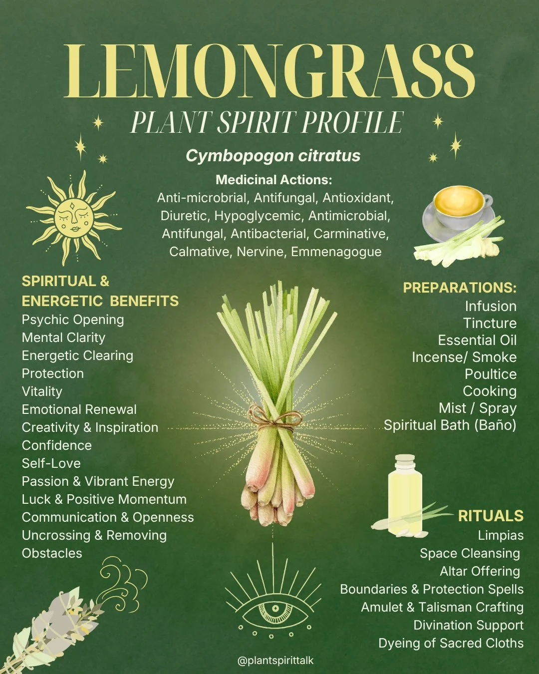 ☀️ The Summer PSI HIVE is open and we are so excited to share your plant teacher for June: Lemongrass! 🌿✨

🔥 🌞 She is radiant, clarifying, and alive with summer medicine. Lemongrass has been used across traditions like Amazonian, Ayurvedic, and be