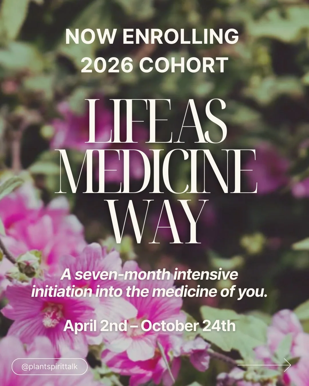 📣 Beloveds! &hearts;️

⏰ Applications for Life As Medicine Way close in just TWO weeks &mdash; on March 22nd! 

We are still enrolling for our 2026 cohort and we want YOU in the circle! 🌿

This is our foundational program &mdash; a seven month jour