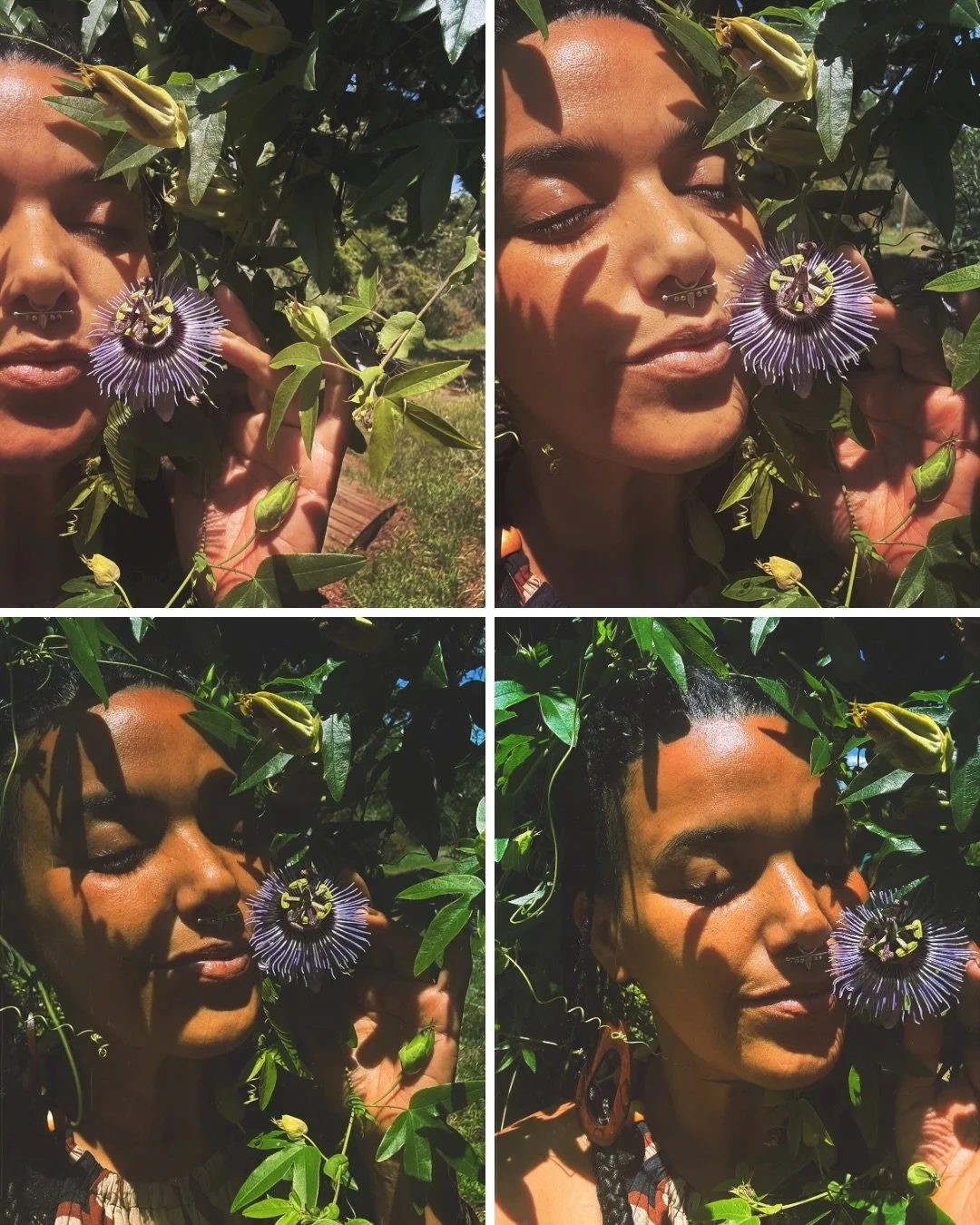 ***&hearts;️Passionate for Passion🌿***

One of our most beloved plant allies- Passiflora incarnata; a vine of extraordinary beauty and even deeper medicine.

Passionflower&rsquo;s physical medicine is a gift for our times. In a world that keeps us w