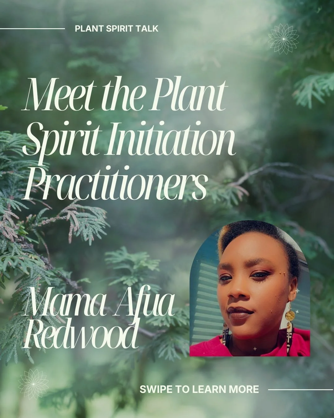 🌿 Greetings, beloved community!

Applications for our Plant Spirit Initiation Community Clinic are open now, and we begin our first round of ceremonies on June 28th. The countdown begins with less than one month to join us in the first journey with 