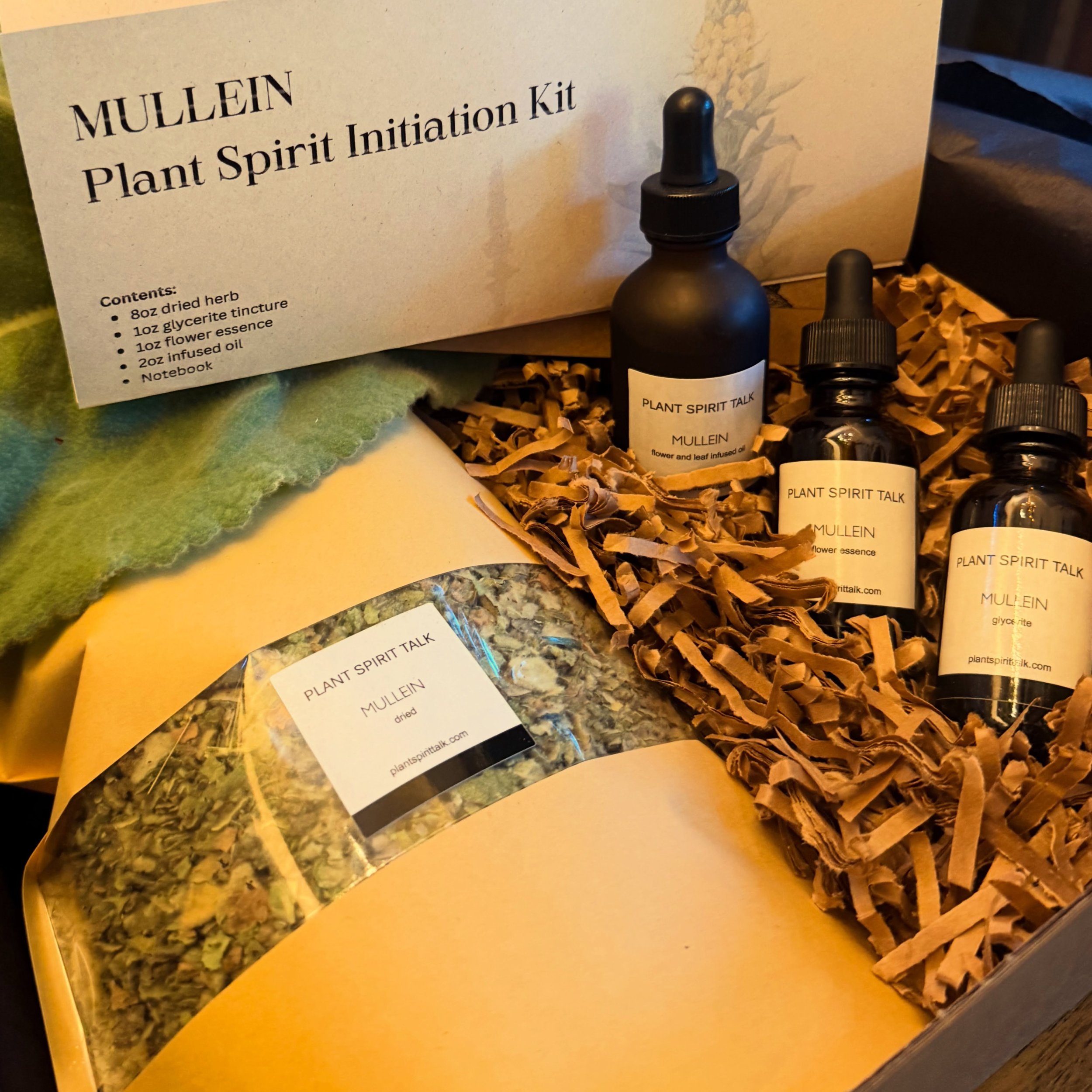Mullein Autumnal PSI Hive 🌿✨

In less than a week we begin our month long journey with the spirit of Mullein. Join us as we apprentice, reclaim our wellness practices and ritualize the month of September while initiating in community on the medicine