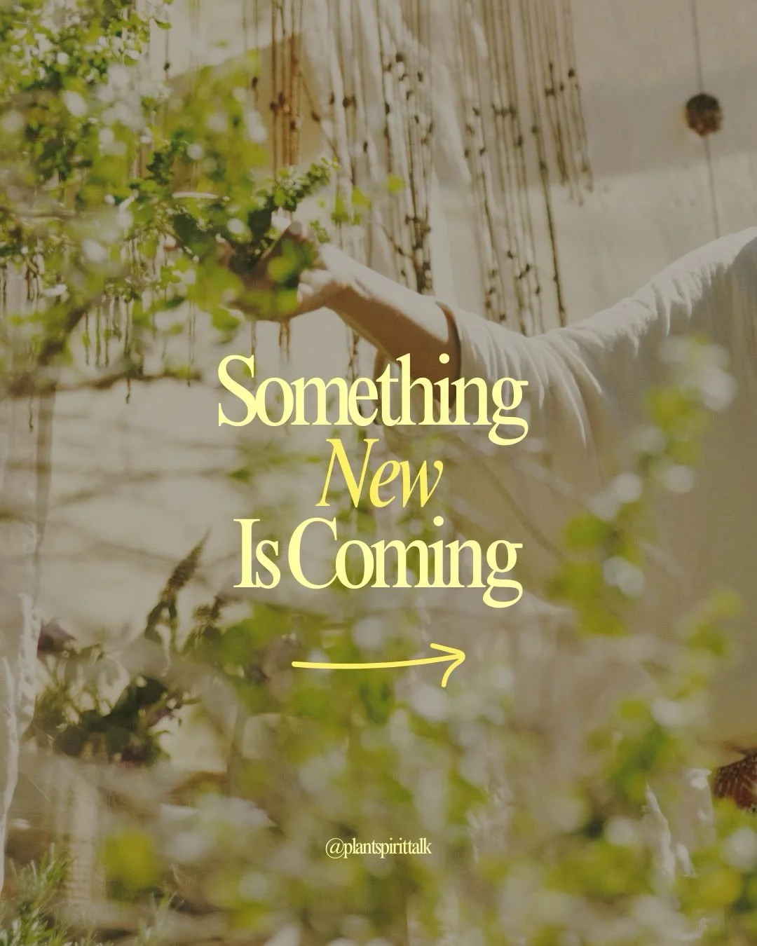 ARE YOU READY TO START ROMANCING YOUR LIFE?🌹✨

✺Welcome to Templefy!✺

Beloveds, 

I&rsquo;m thrilled and beyond honored to invite you to join me on this much-awaited homecoming journey to the heart of our lives. Templefy&trade; is a multi-module me