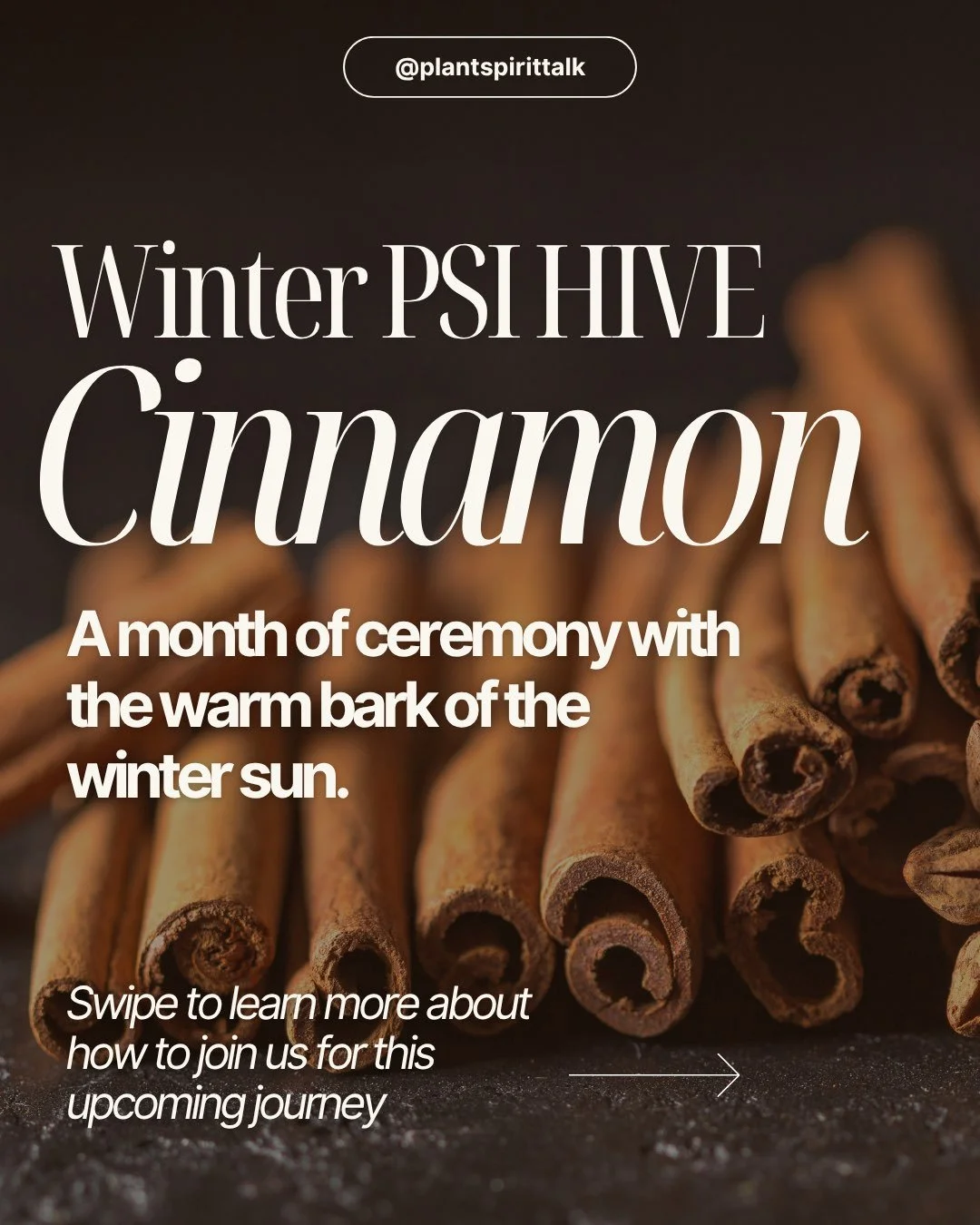 📣The Winter HIVE is gathering, and this season we sit with Cinnamon &mdash; the bark of a tree long held across cultures as medicine for warmth, comfort, and celebration, and a Plant Spirit Teacher who meets us right where winter asks us to slow dow