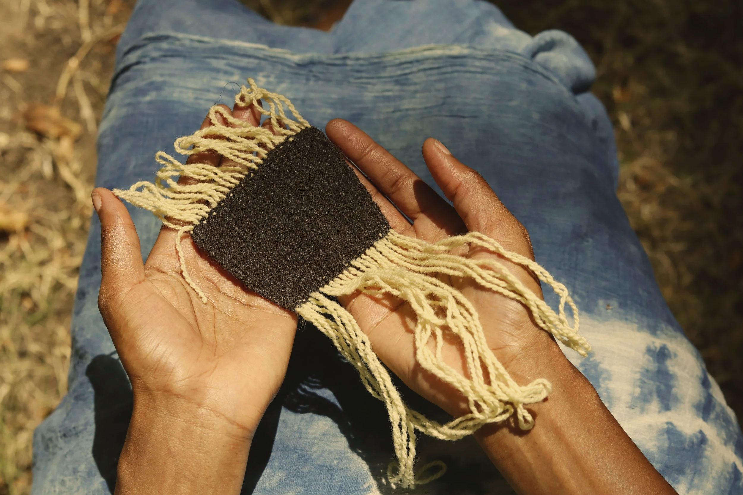Weaving Small: La Tierra, Sebastopol