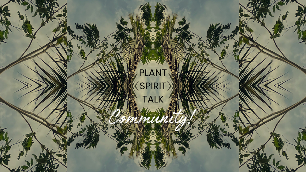 Plant Spirit Talk